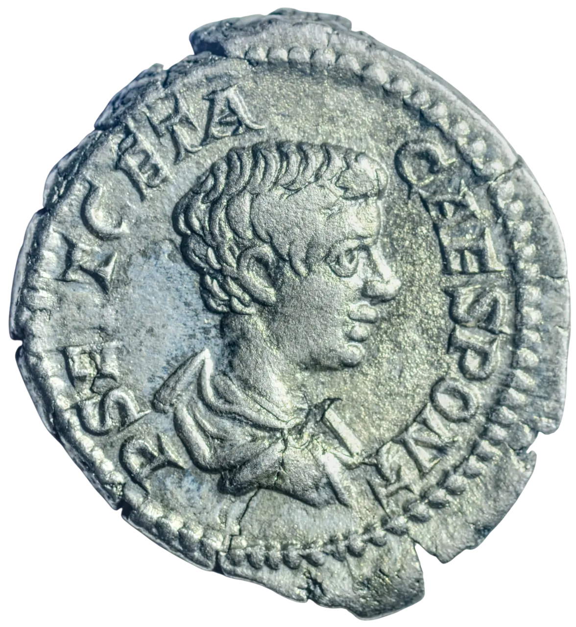 Geta (als Caesar), Denar, Rom, ca. 200–202 n. Chr., FELICITAS PVBLICA image 1