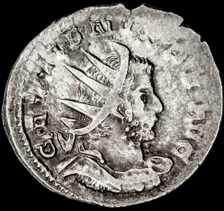 an image of a coin 1