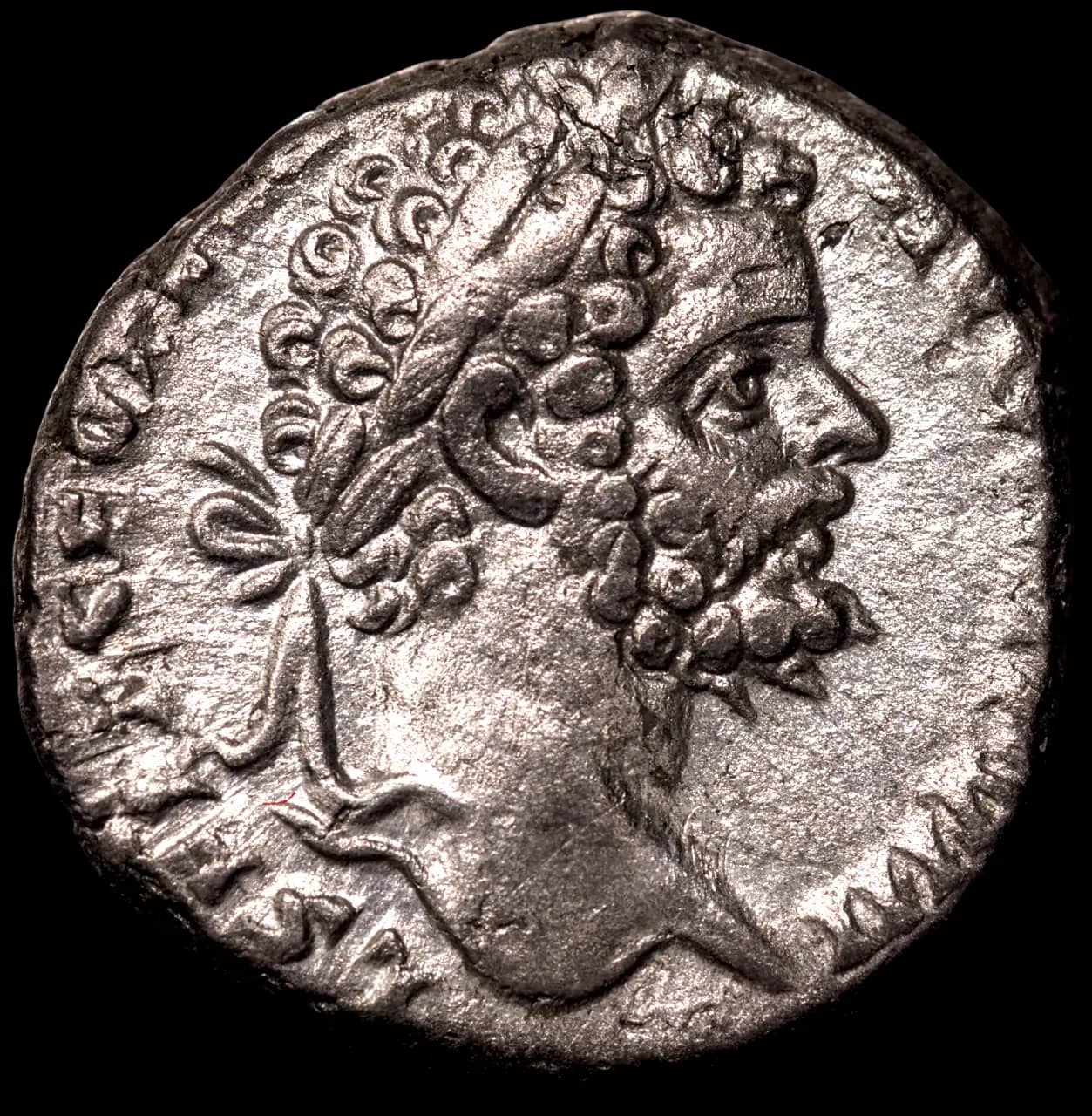 an image of a coin 1