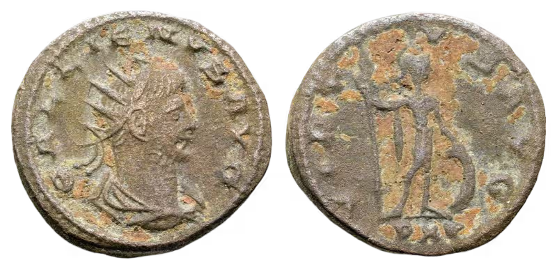 an image of a coin 1