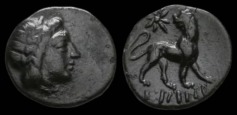 an image of a coin 1