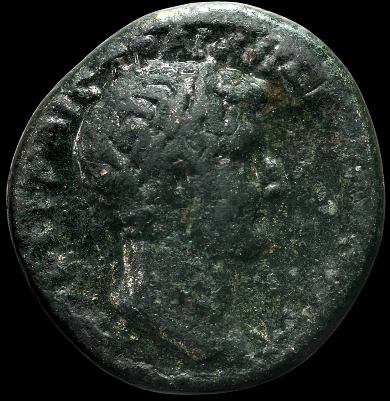an image of a coin 1