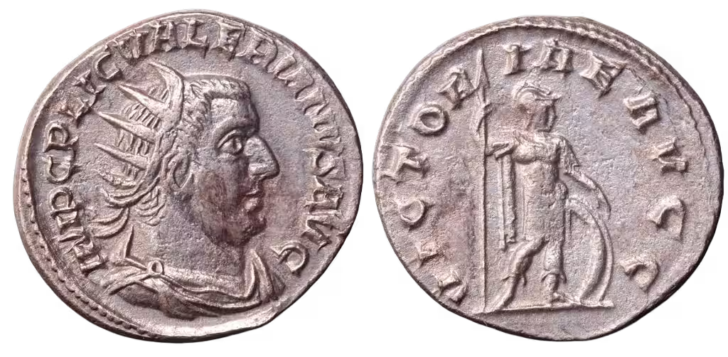 an image of a coin 1