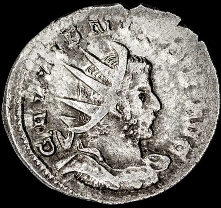 an image of a coin