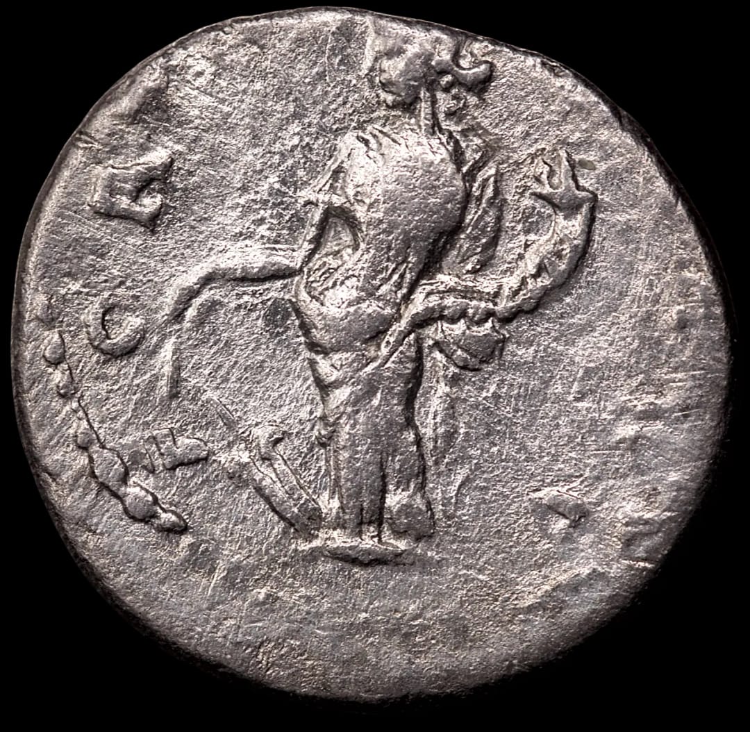 an image of a coin