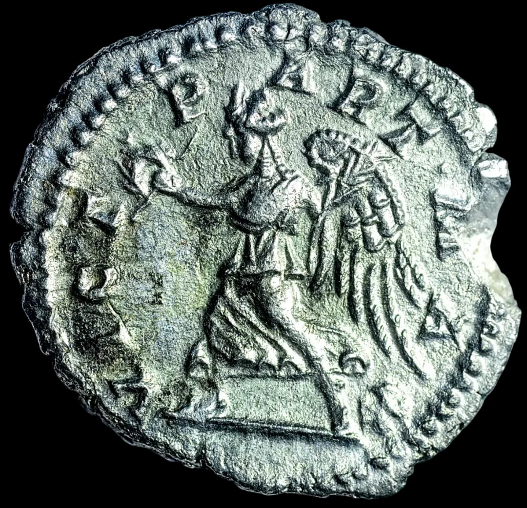 an image of a coin