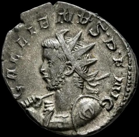 an image of a coin