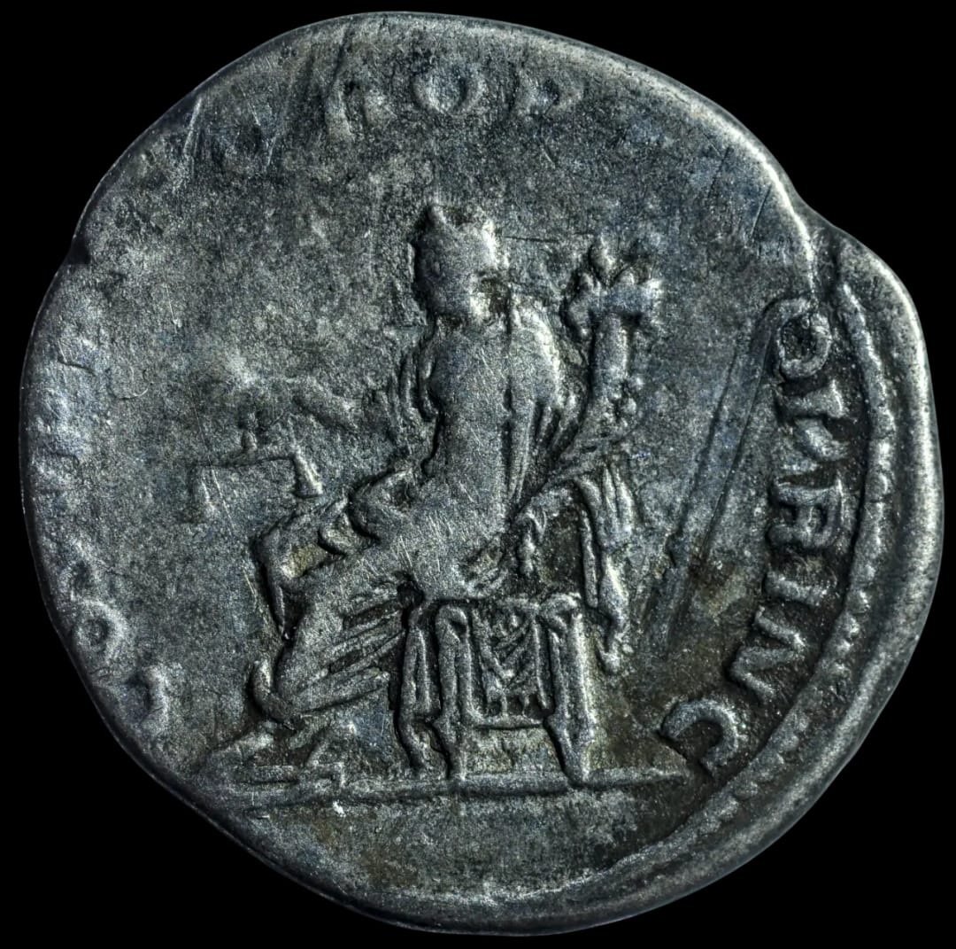 an image of a coin