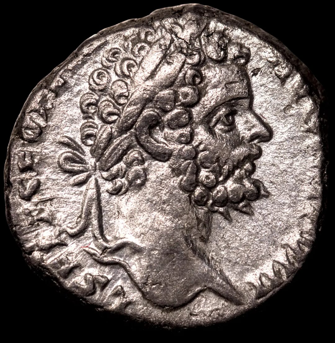 an image of a coin