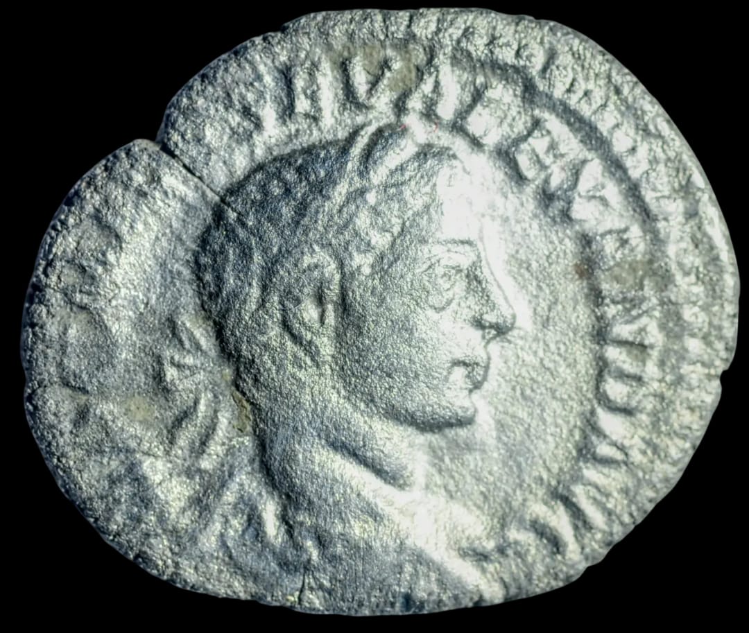 an image of a coin