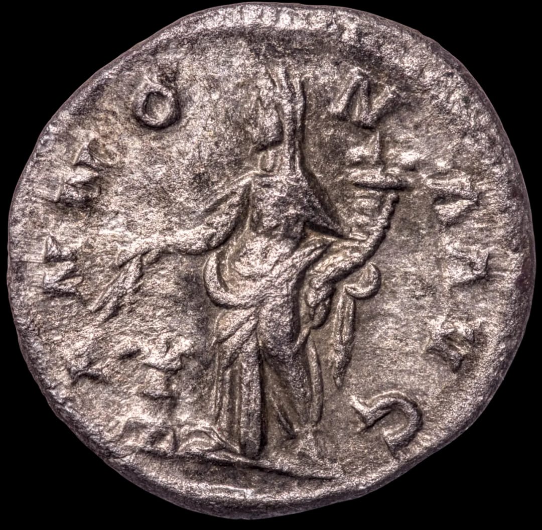 an image of a coin