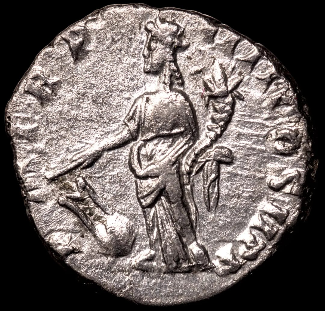 an image of a coin