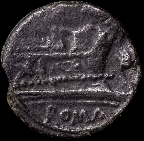 an image of a coin