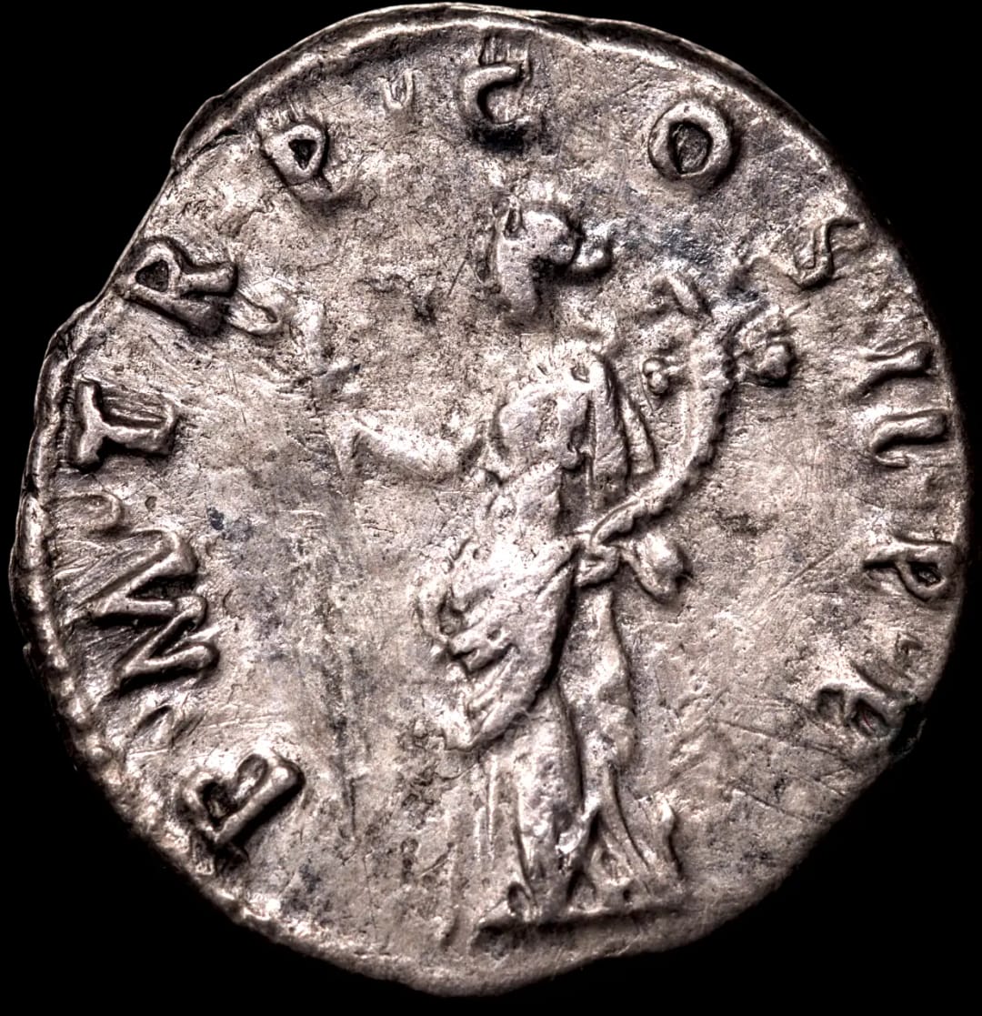 an image of a coin
