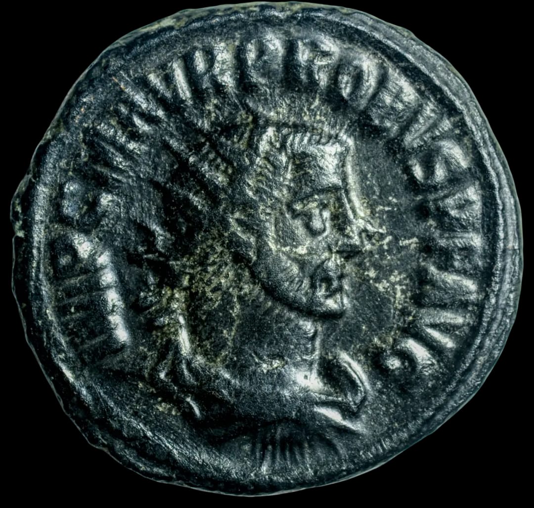 an image of a coin