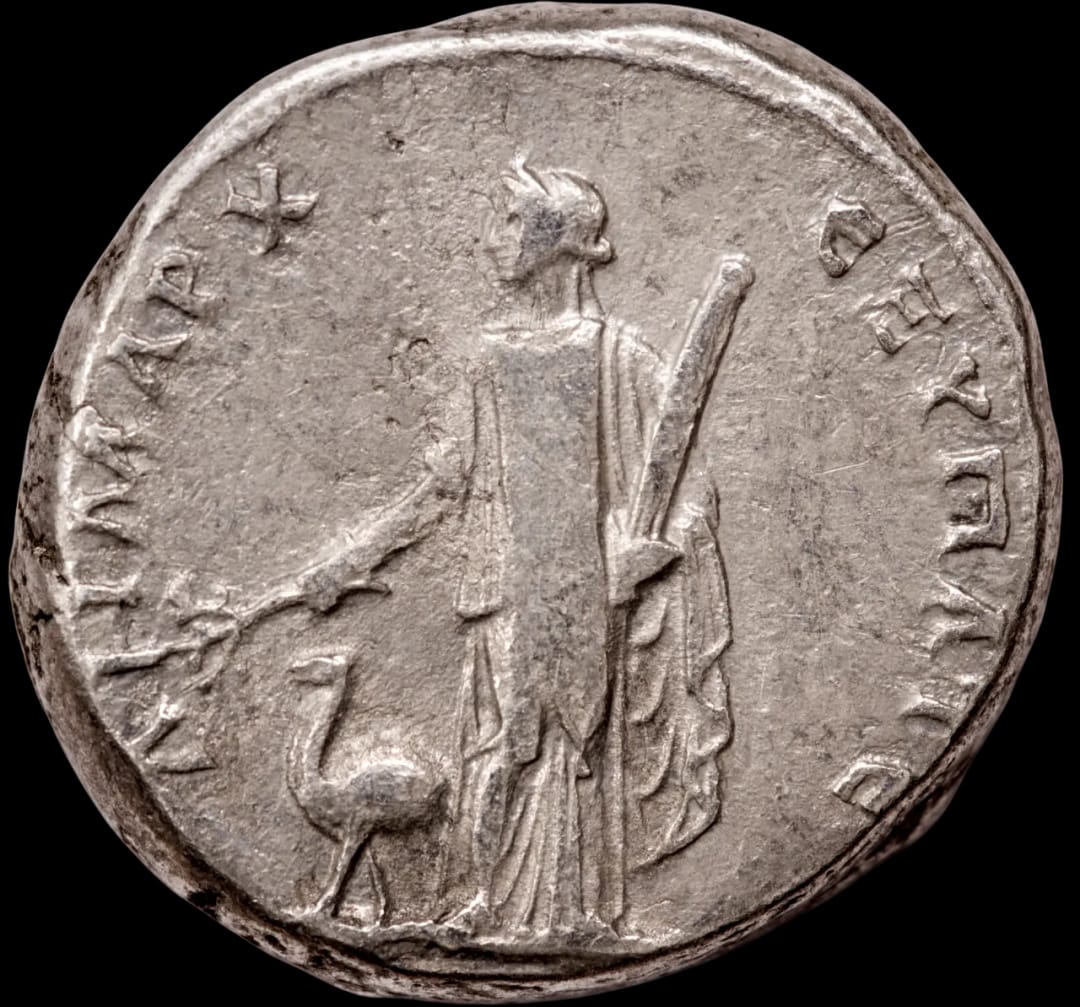 an image of a coin