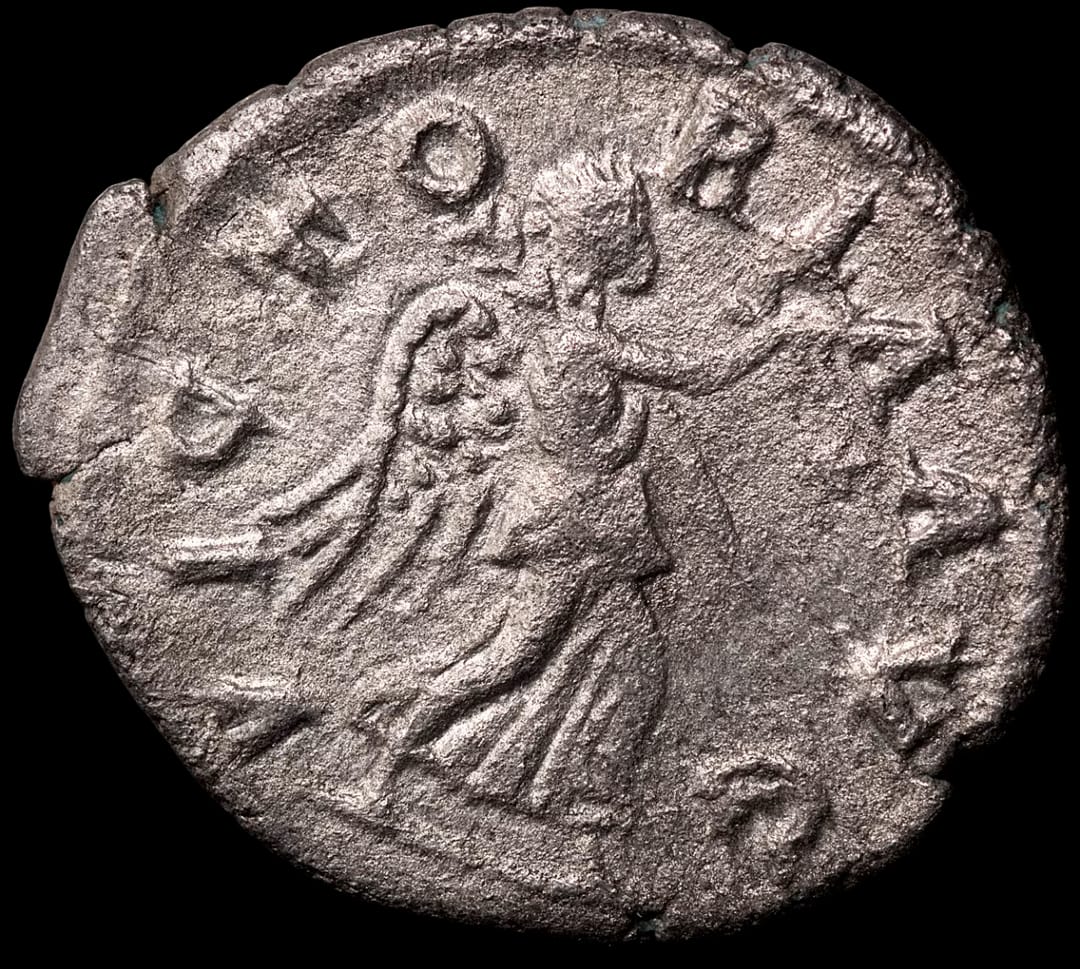 an image of a coin