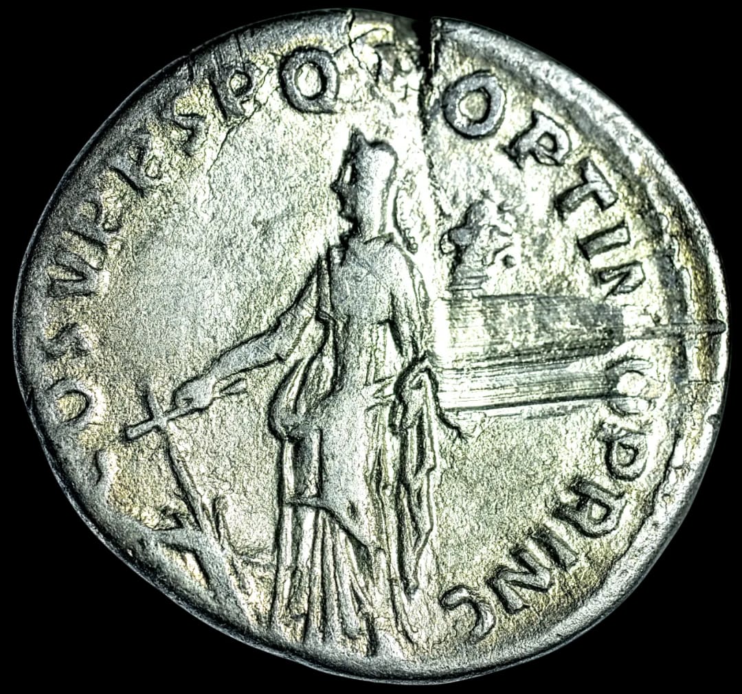 an image of a coin