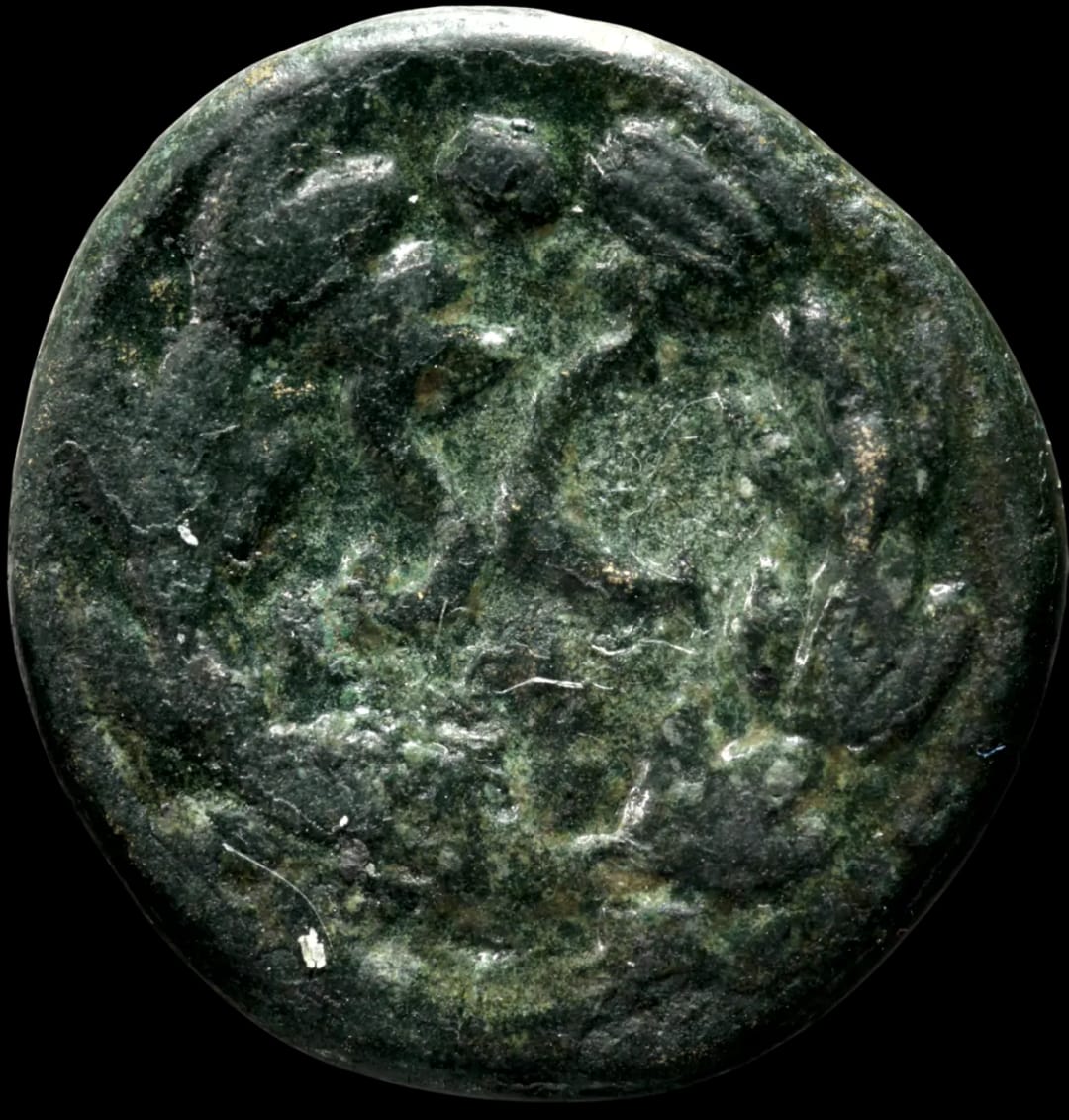 an image of a coin