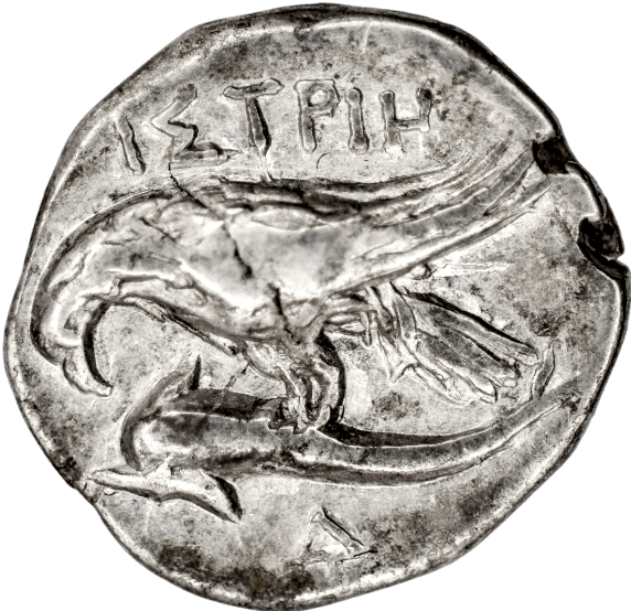 an image of a coin