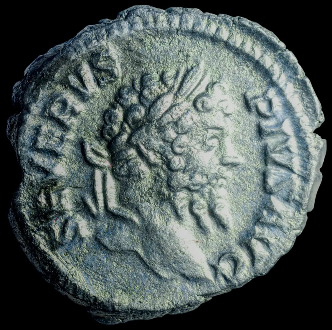 an image of a coin