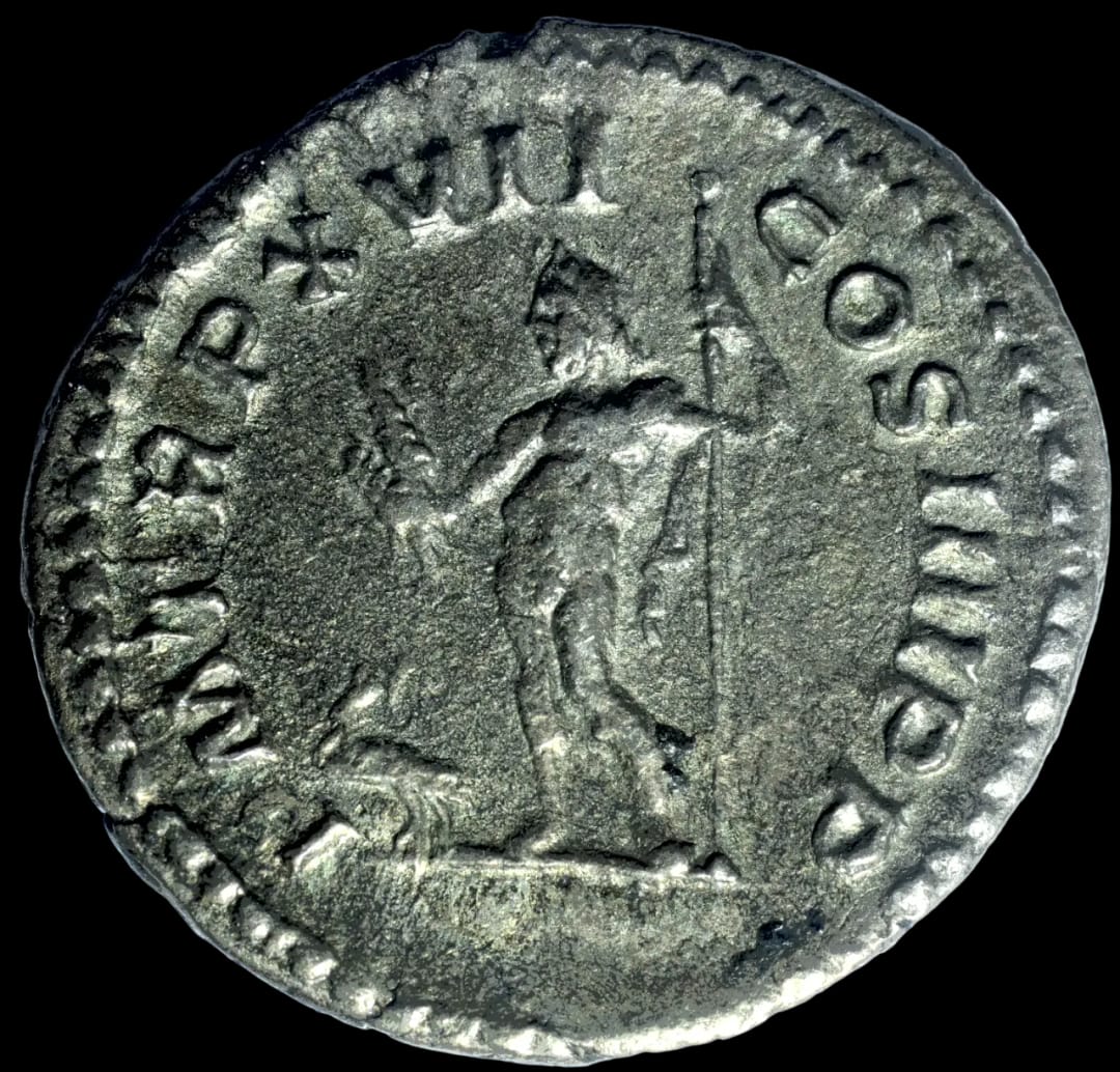an image of a coin