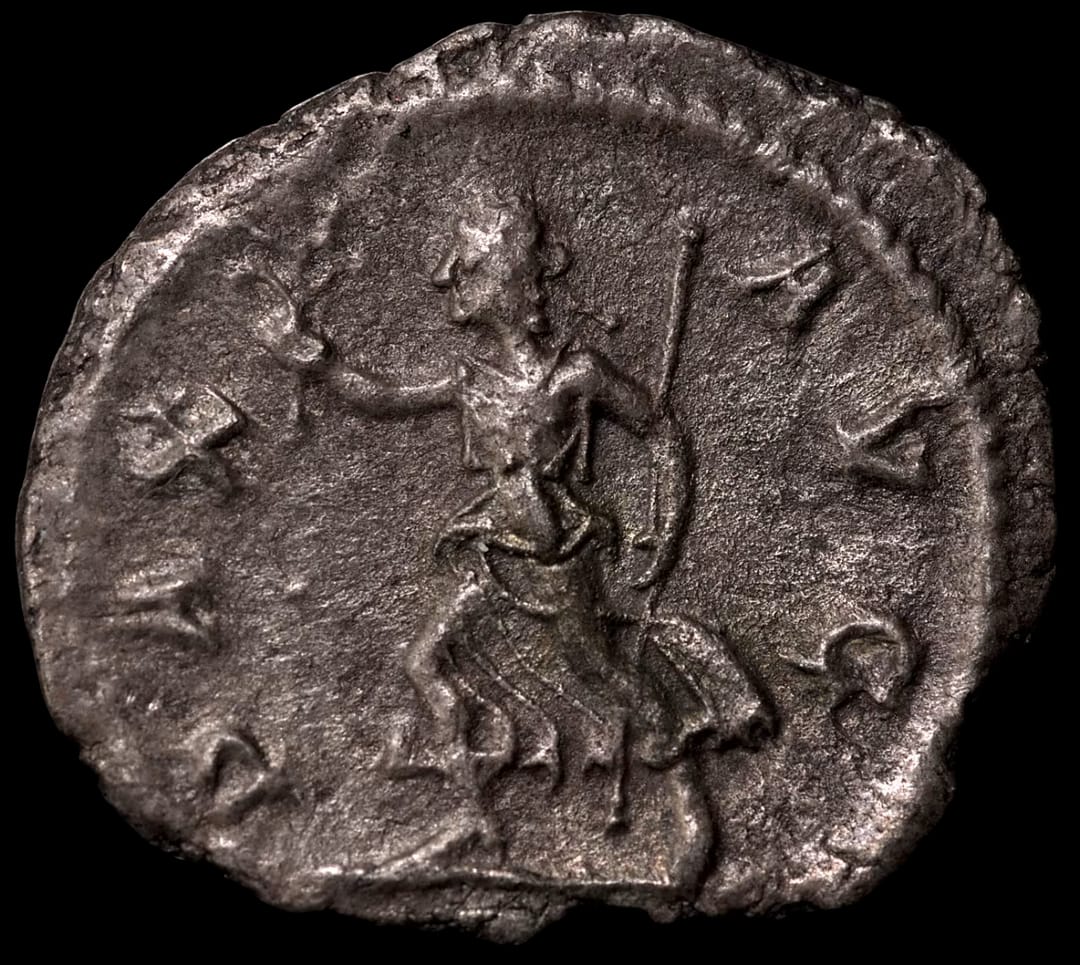 an image of a coin