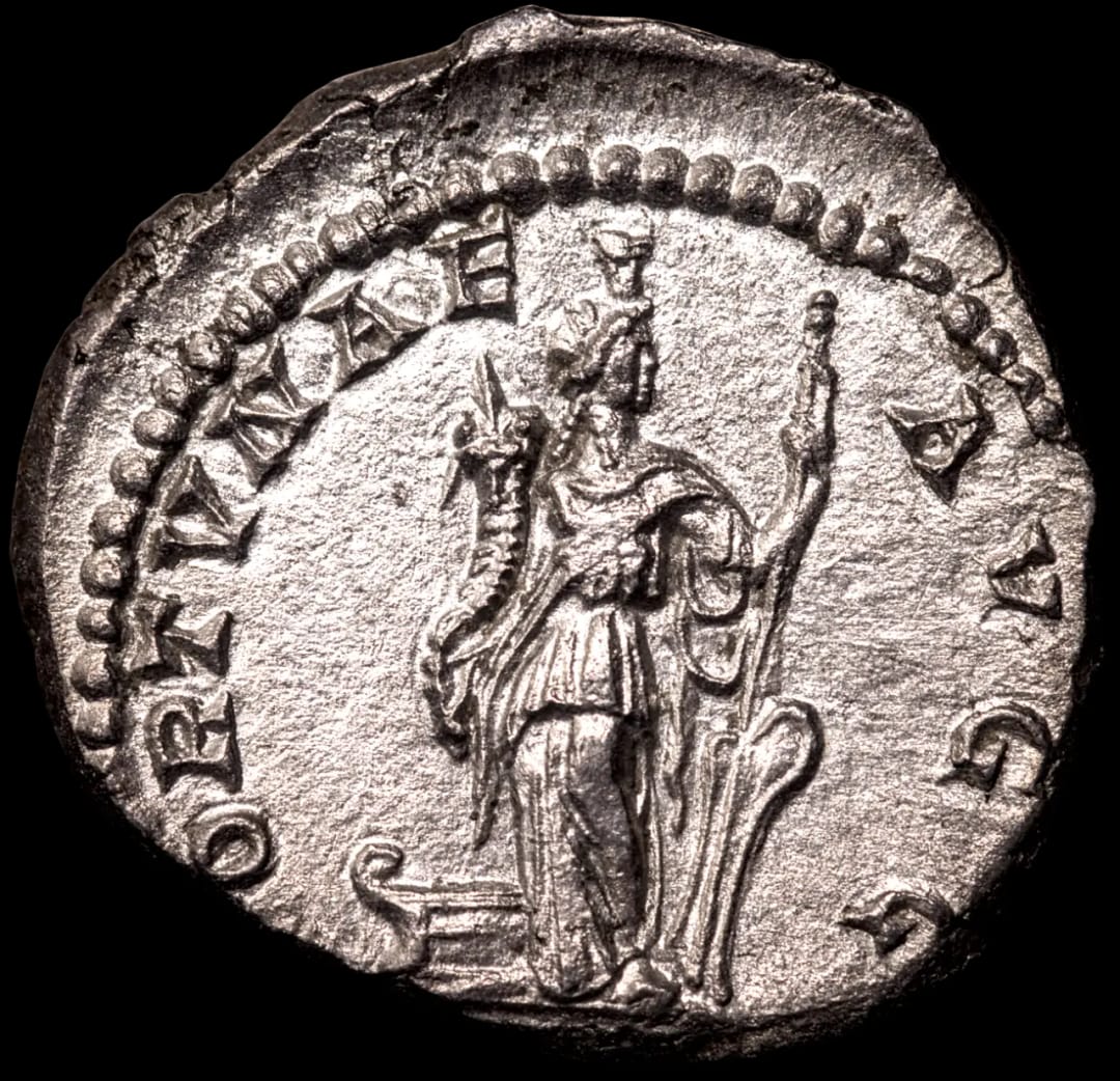 an image of a coin