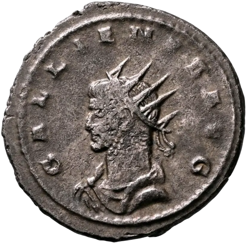 an image of a coin