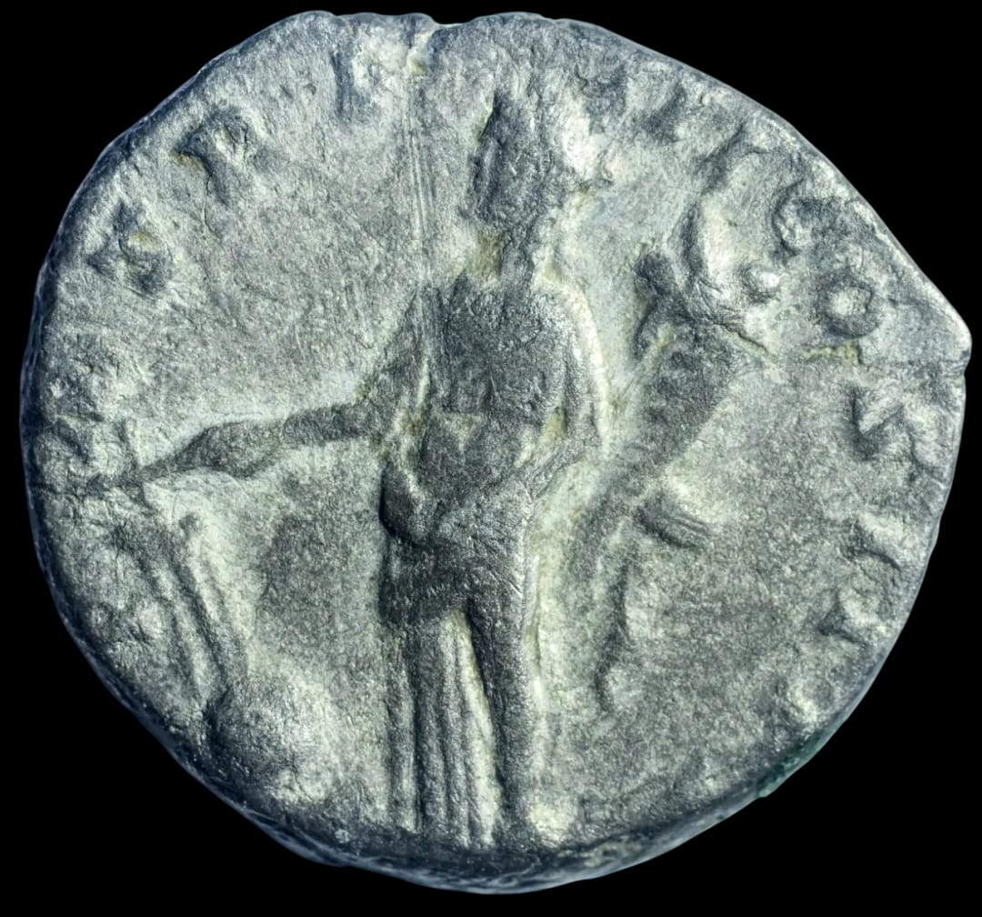 an image of a coin