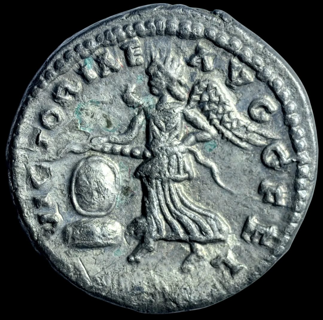 an image of a coin