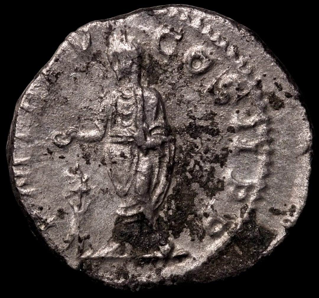 an image of a coin
