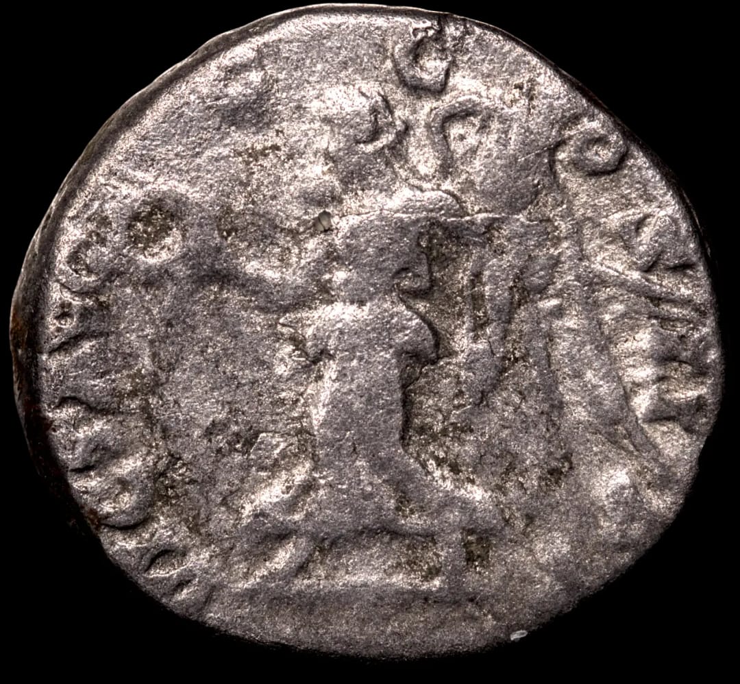 an image of a coin