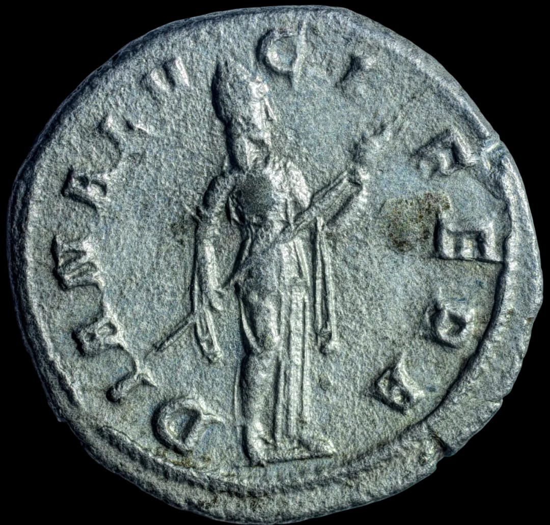 an image of a coin