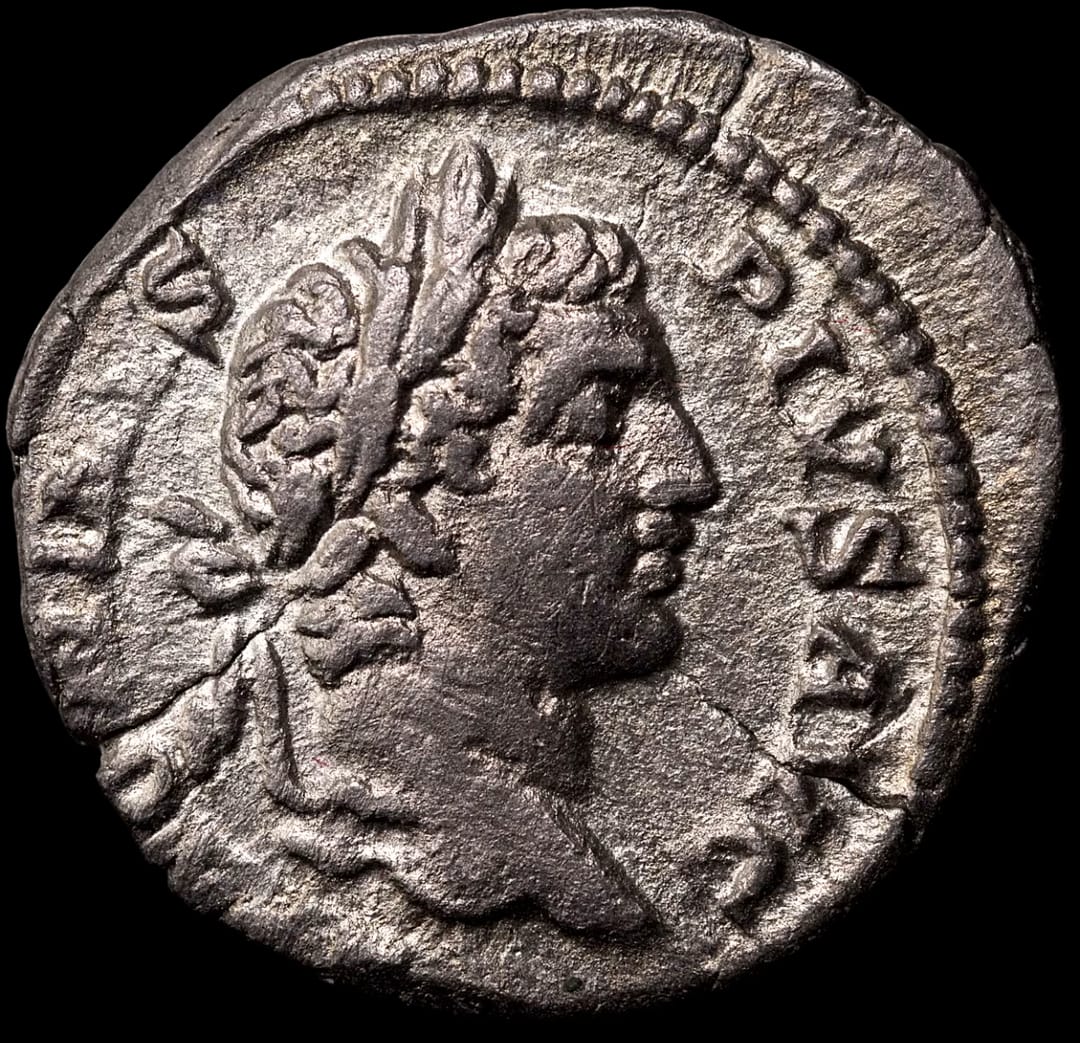 an image of a coin