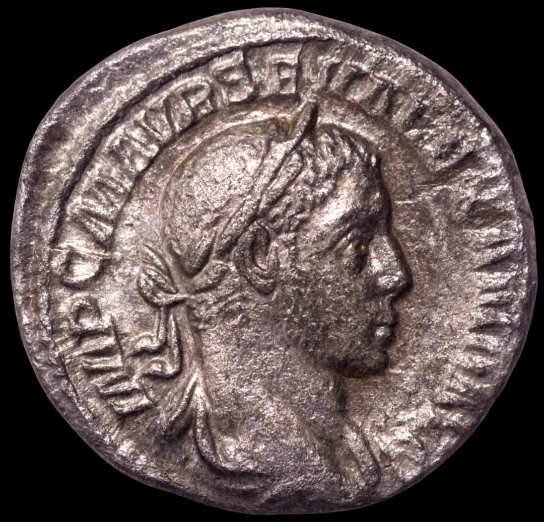 an image of a coin